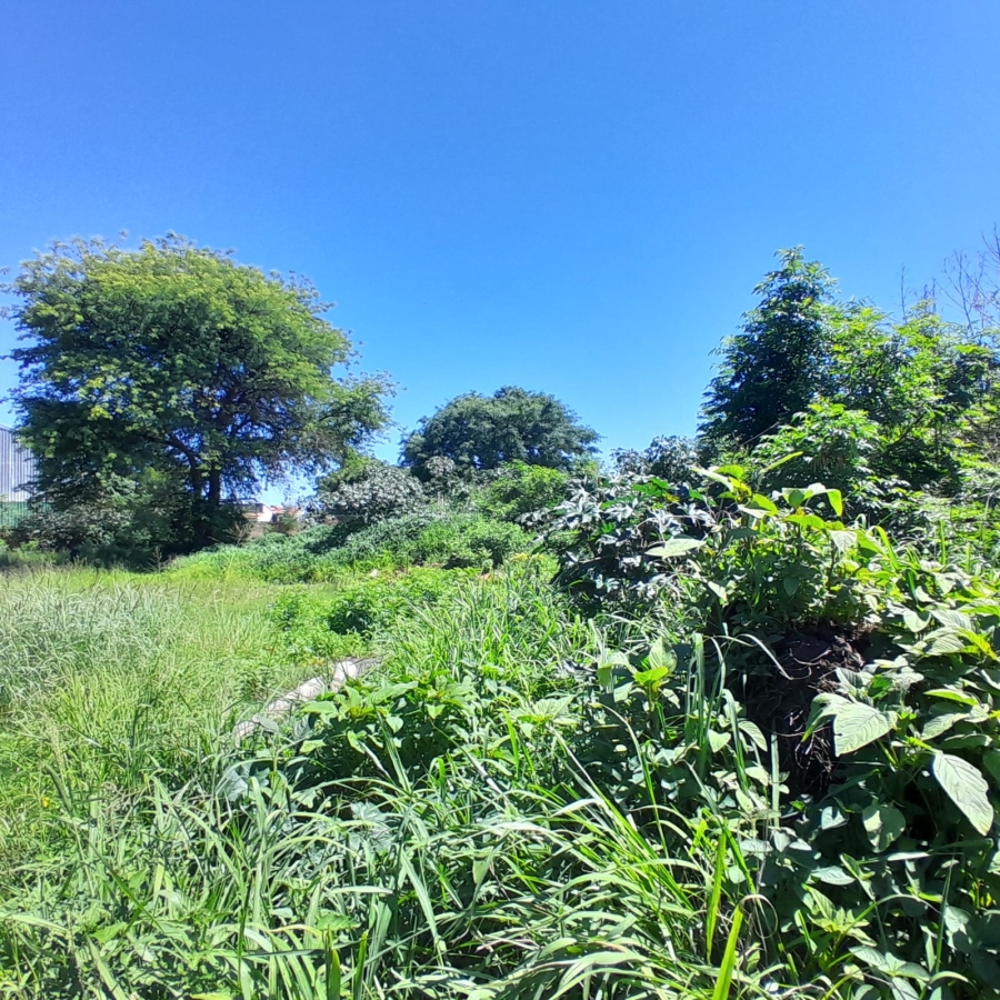 Commercial Property for Sale in Zinniaville North West